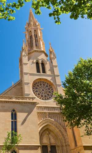 Reserva tu tour panorámico en autobús con paradas libres en Palma, España – Billetes oficiales, rutas flexibles y cancelación gratuita en 2026