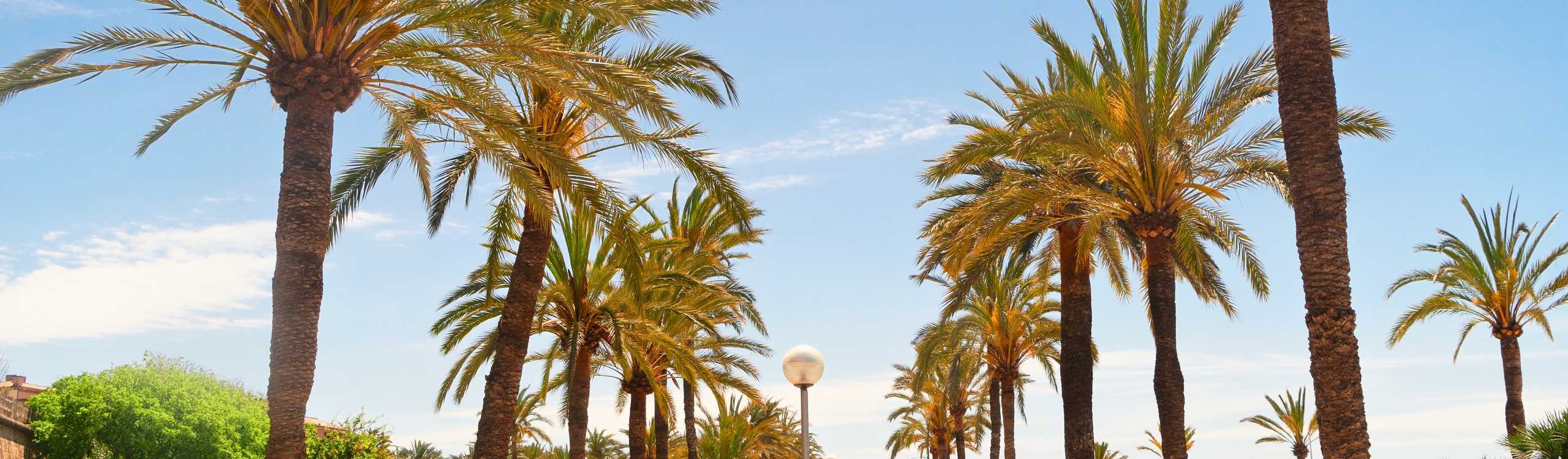 Explora Palma con un Pase de Ciudad – Ahorra en las principales atracciones, disfruta del acceso todo en uno y la comodidad digital en 2026