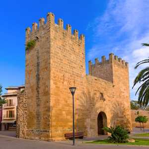 Explora Palma a tu ritmo con los tours en autobús con paradas libres – Vistas panorámicas, guías de audio y paradas ilimitadas en 2026