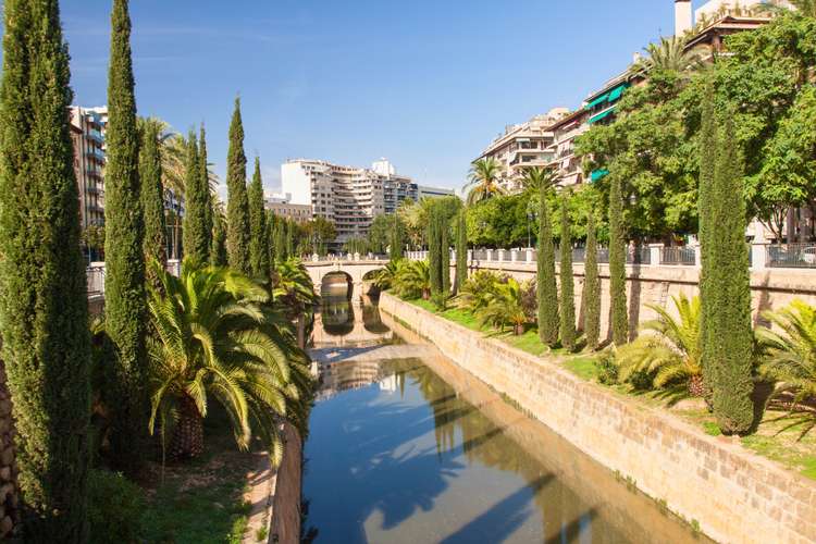 Descubre Palma con tours oficiales en autobús con paradas libres – Rutas flexibles, monumentos icónicos y vistas panorámicas en 2025