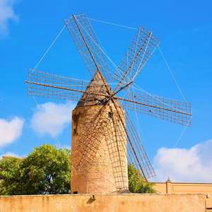 Visita Palma desde un autobús panorámico con paradas libres – Explora monumentos y atracciones en 2025 Súbete al autobús de dos pisos en Palma, España – Descubre monumentos, atracciones y rincones secretos con un tour turístico en autobús en 2025